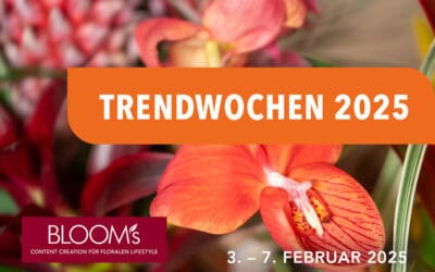 BLOOMsWorld-Trendweeks-2025_1200x800