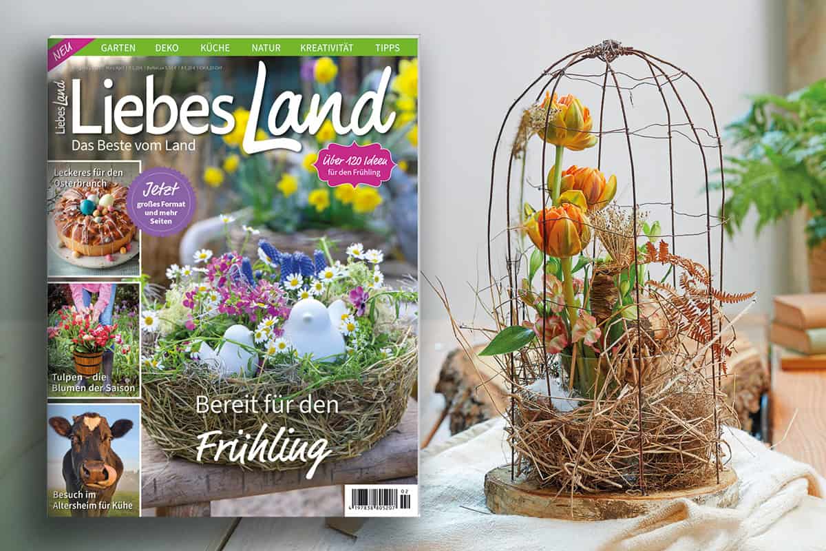 Bereit für den Frühling – Die neue „Liebes Land“-Ausgabe ist da!