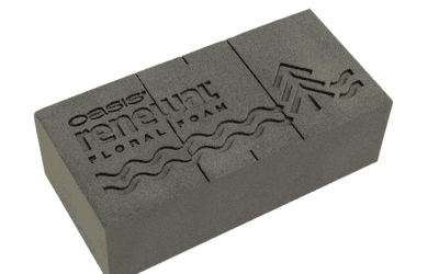 Neuheit: Der OASIS® Renewal™ Floral Foam OASIS Renewal Floral Foam Brick