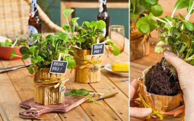 Upcycling: Aus Alt macht Neu! Beitragsbild