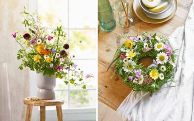 Grüße von der Blumenwiese Beitragsbild (9)