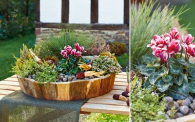 Farbenfrohe Herbstgärten: Bepflanzungsideen für die goldene Jahreszeit 9