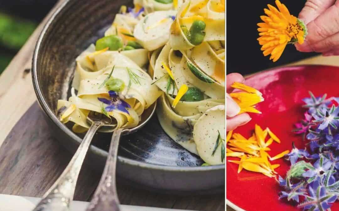 Blüten auf dem Teller – Essbare Vielfalt aus dem Garten