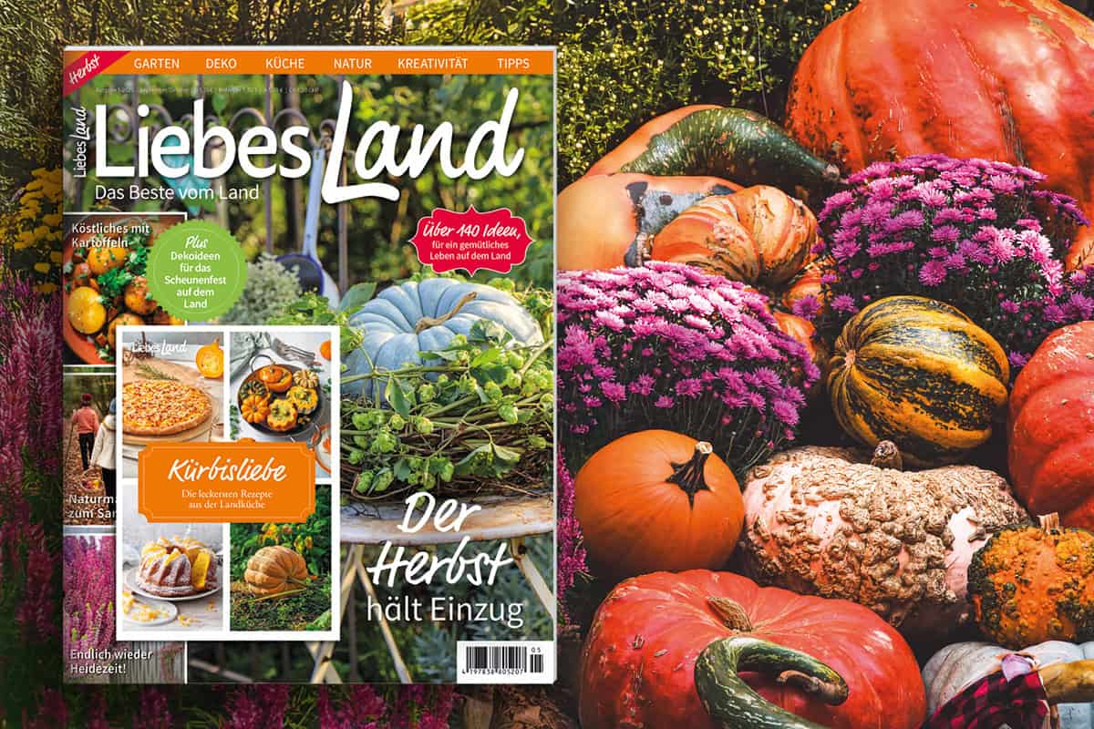 Herbstideen für Deko, Garten & Küche – jetzt in der neuen Liebes Land!