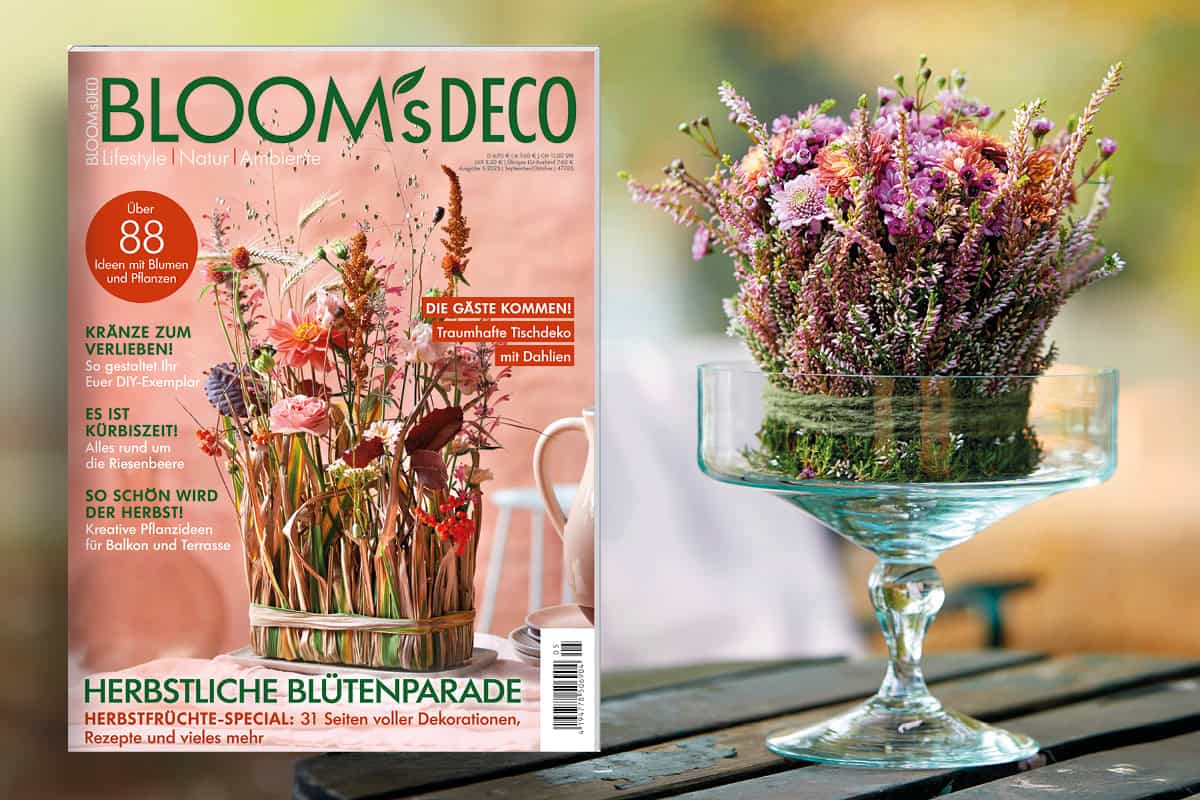 Der Herbst ist da – Mit der neuen “BLOOM’s DECO”!