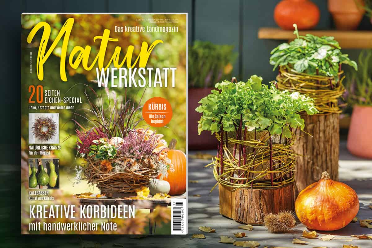 Der Herbst zieht ein – Mit der neuen „NaturWERKSTATT“! Der Herbst zieht ein – Mit der neuen „NaturWERKSTATT“!