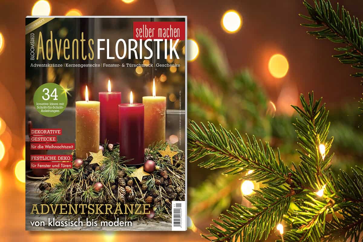 Das Sonderheft “BLOOM’s DECO AdventsFLORISTIK” ist da!