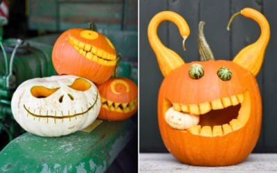 Kürbisschnitzen leicht gemacht Beitragsbild