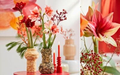 Kreative Vasen für Amaryllis Beitragsbild (7)