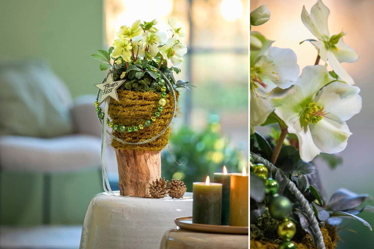 Festzauber in frischem Grün