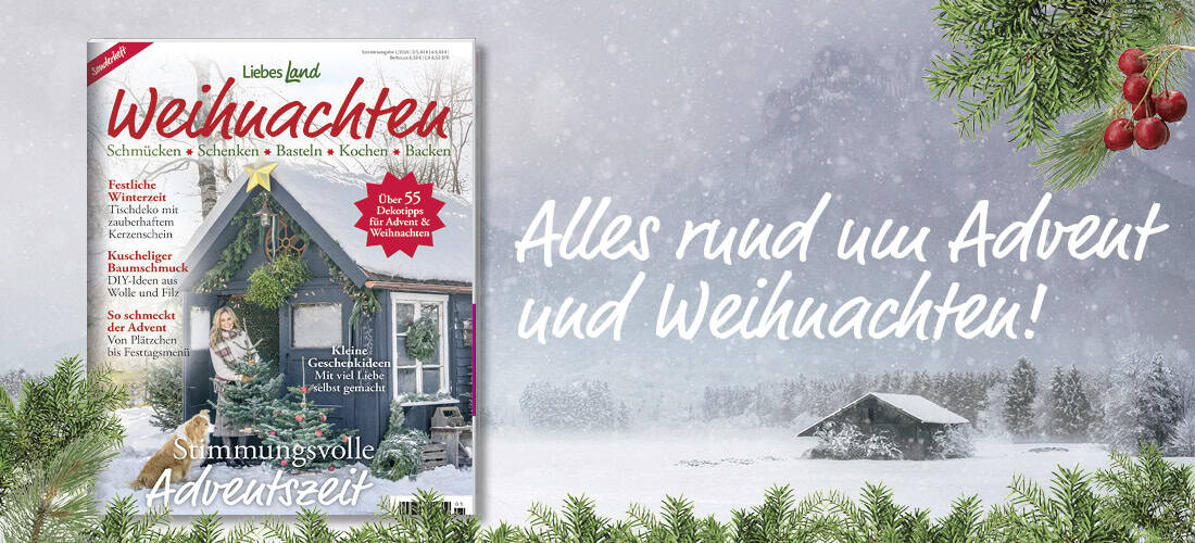 Shop_LL6-25_mitBild_alle2_neu3