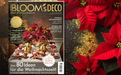 Teaser_DECO6_mitBild_alle_1