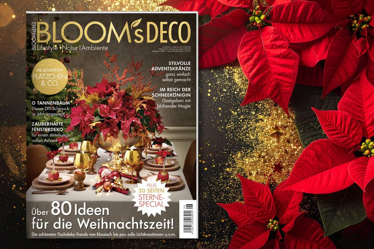 Vorfreude auf Weihnachten – Mit der neuen “BLOOM’s DECO”!