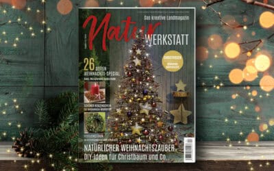 Natürlicher Weihnachtszauber – Mit der neuen "NaturWERKSTATT"! Teaser_NW4-25_1200x800_NEU