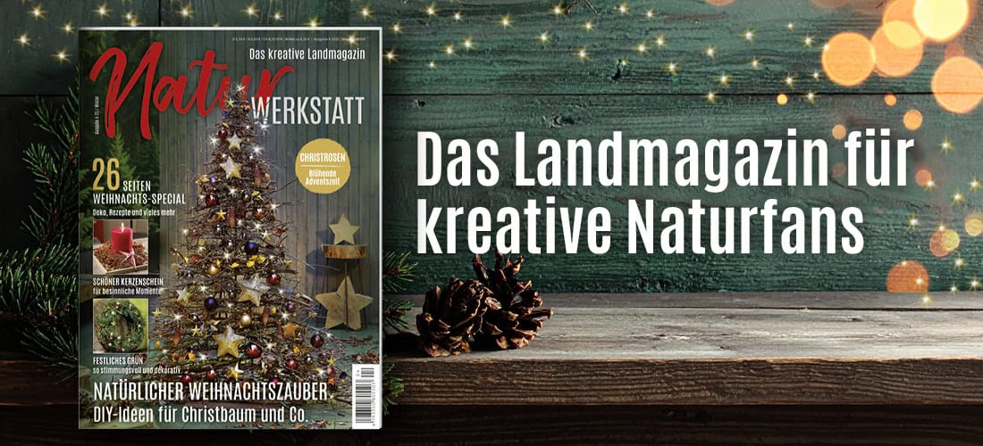 Teaser_NW4-25_mitBild_alle3