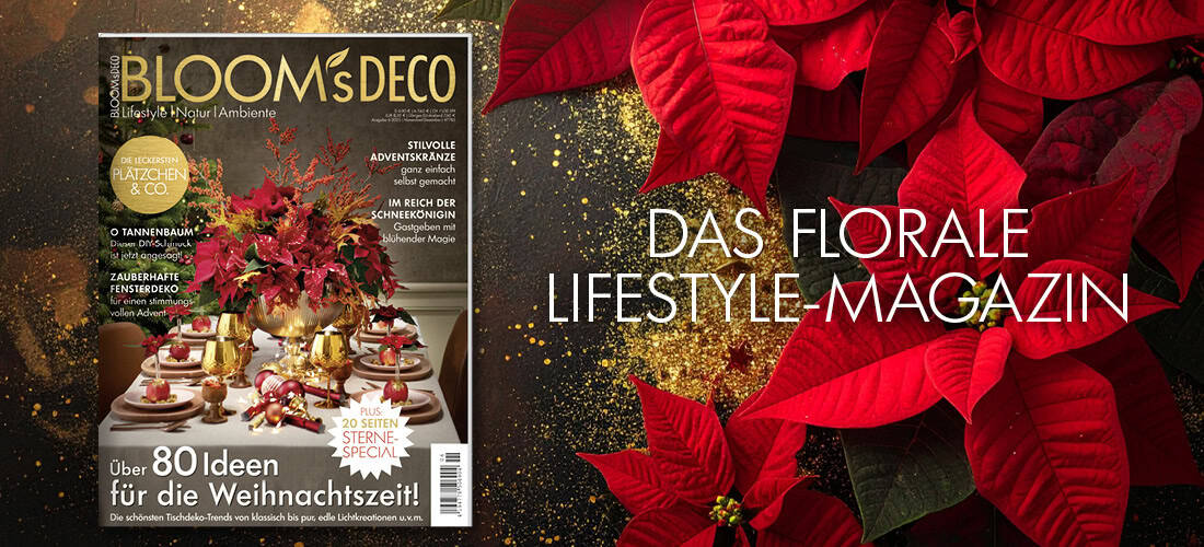 Teaser_DECO6_mitBild_alle_13