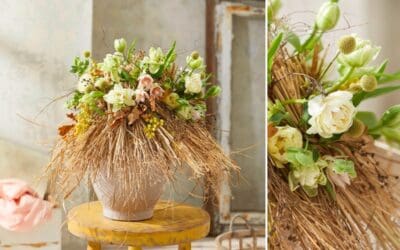 Ein Hauch von Frühling Beitragsbild