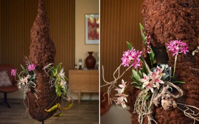 Trend TERRA & COMFORT: Natürliche Strukturen und florale Inszenierungen 1