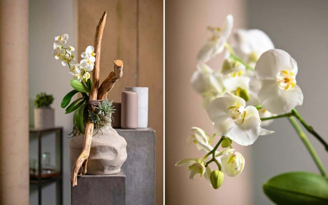 Trend PURE & ELEMENTAL: Natürliche und minimalistische Floristik
