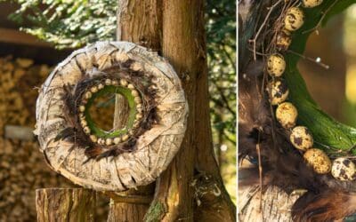 Frühlingskränze in Naturoptik Beitragsbild1