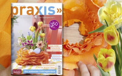 Teaser_PR_2-2026_alle