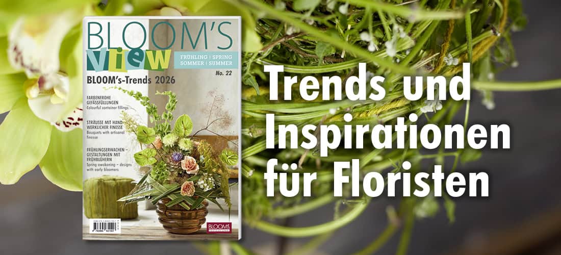 Teaser_VIEW1-26_mitBild_alle3_neu