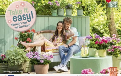 Endspurt – Jetzt noch schnell die letzten Geranien-Werbemittel für 2026 sichern! 20260107_96268_PFE_Grossbanner_350x250cm_k