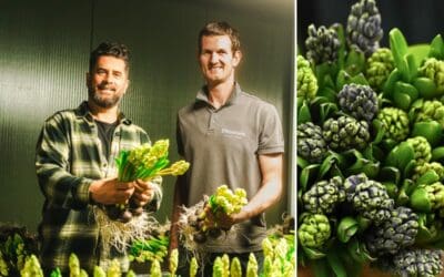 Grower for a Day: Michael Perry zu Gast bei Decorum Gärtnern – Teil 3 Beitragsbild (1)