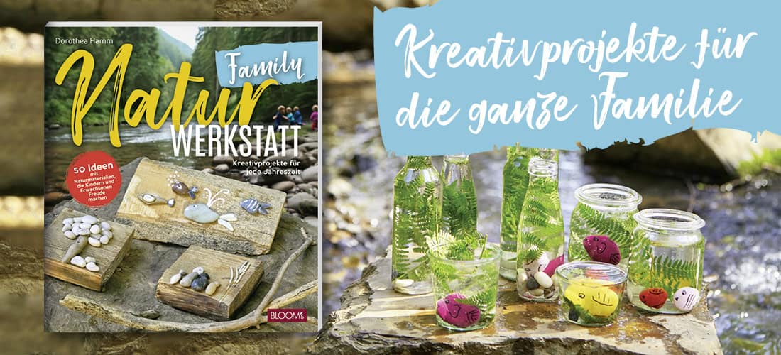 Shop_NWBuch_mitBild_alle3