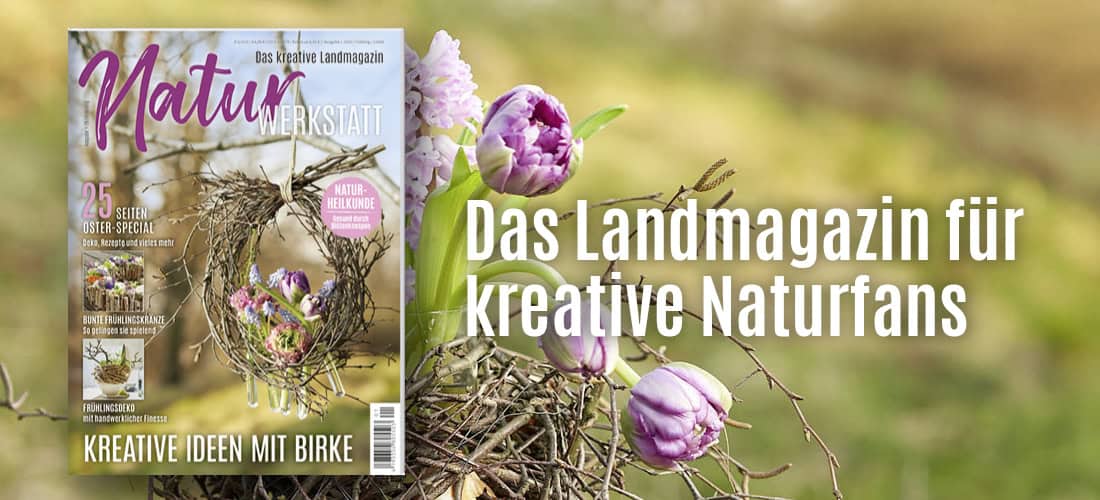 Teaser_NW1-26_mitBild_alle3 Liebes Land-Magazin Sommerausgabe