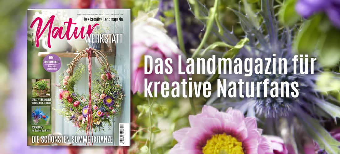 Liebes Land-Magazin Sommerausgabe