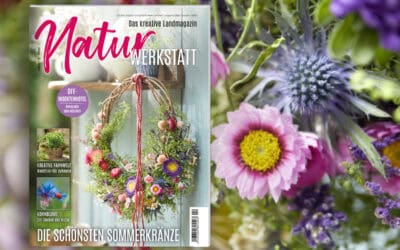 Die neue Naturwerkstatt 2/2026 ist da! Teaser_NW2_mitBild_alle_neu2