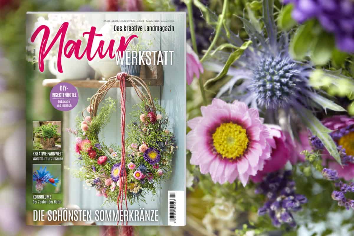 Die neue Naturwerkstatt 2/2026 ist da! Die neue Naturwerkstatt 2/2026 ist da!