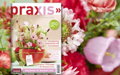 Die neue Ausgabe ist da: Jetzt die PRAXIS Juli/August 2026 entdecken! Teaser_PR4_1200x800