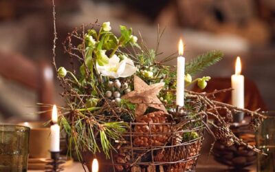 Das neue BLOOM’s Verlagsprogramm 2. Halbjahr 2026 Verlagsprogramm Herbst-Winter 2026