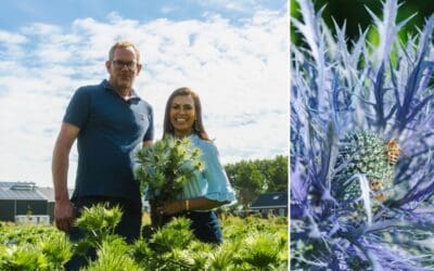 Grower for a Day: Nadia Duran zu Gast bei Decorum Züchtern Beitragsbild