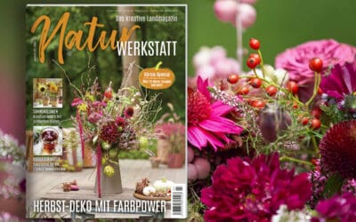 Die neue Naturwerkstatt 3/2026 ist da! Teaser_NW3_mitBild_alle