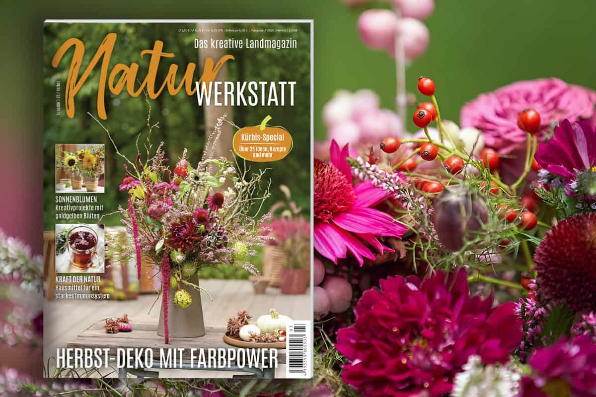 Die neue Naturwerkstatt 3/2026 ist da! Die neue Naturwerkstatt 3/2026 ist da!