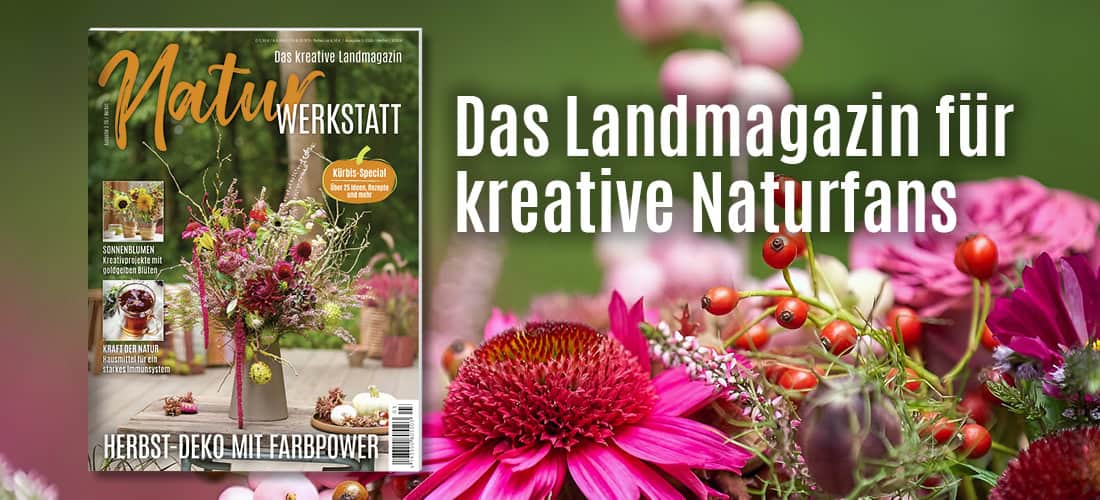 Teaser_NW3_mitBild_alle3 Liebes Land-Magazin Sommerausgabe