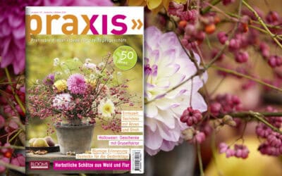 Die neue Ausgabe ist da: Jetzt die PRAXIS September/Oktober 2026 entdecken! Teaser_PR45_1200x800