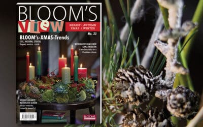 Die neue BLOOM’s VIEW Herbst/Winter 2026 ist da! Teaser_VIEW2-26_mitBild_alle