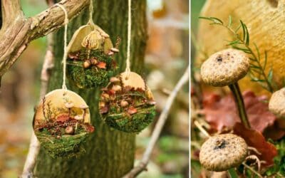 Grüße aus dem Wald – Natürliche Herbstfloristik in Serie Beitragsbild