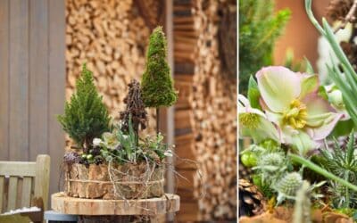 Trend ROOTED & BALANCED: Zu Gast in der Natur Beitragsbild (1)