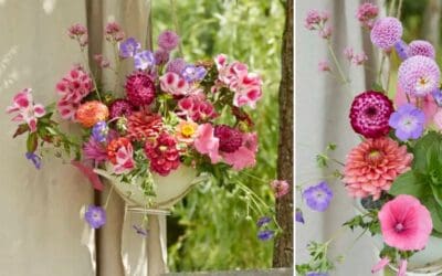 Farbspektakel in der DIY-Hängeampel Beitragsbild