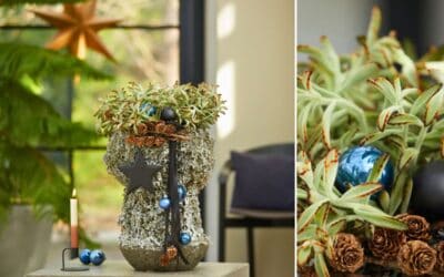 Trend FROSTY & ROUGH: Faszinierende Natur Beitragsbild