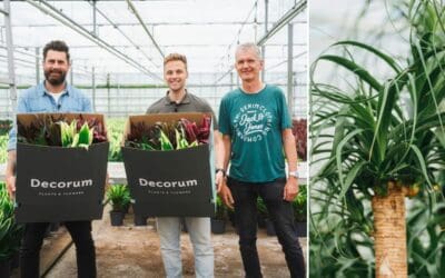 Grower for a Day: Michael Perry zu Gast bei Decorum Züchtern – Teil 6 Beitragsbild (2)