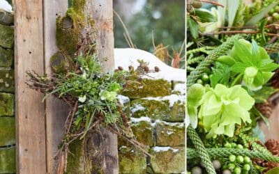 Trend ROOTED & BALANCED: Weihnachtssymbole mit Waldflair Beitragsbild (2)