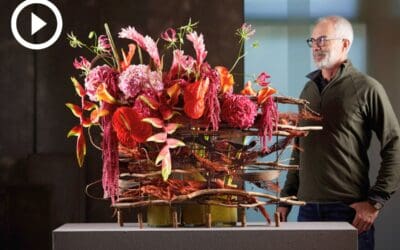 Video: Exotisches Arrangement mit Hortensie Beitragsbild