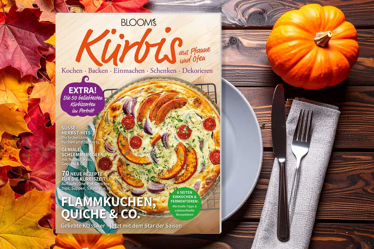 „Kürbis aus Pfanne und Ofen“ – Das Magazin rund um den Kürbis „Kürbis aus Pfanne und Ofen“ – Das Magazin rund um den Kürbis