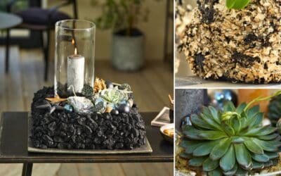 Trend FROSTY & ROUGH: Frostige Akzente Beitragsbild (2)